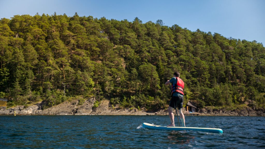 SUP PADDLE